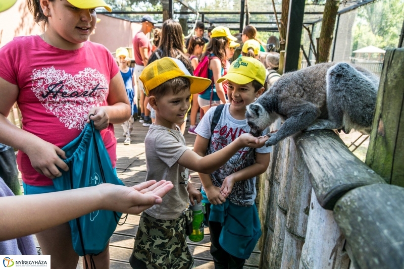 Nem unatkoznak a diákok a Zoo Suliban - fotó Kohut Árpád