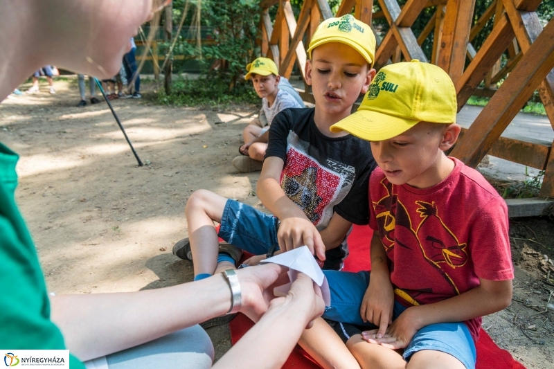 Nem unatkoznak a diákok a Zoo Suliban - fotó Kohut Árpád