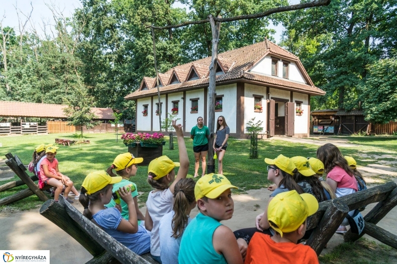 Nem unatkoznak a diákok a Zoo Suliban - fotó Kohut Árpád