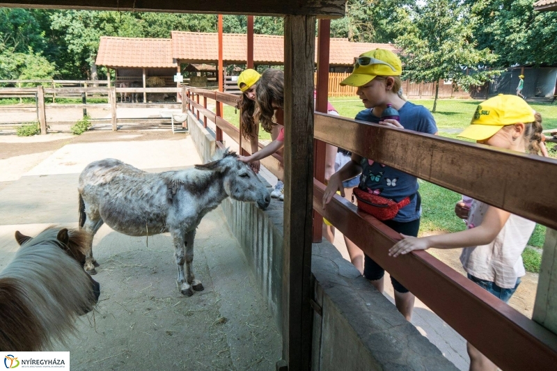 Nem unatkoznak a diákok a Zoo Suliban - fotó Kohut Árpád