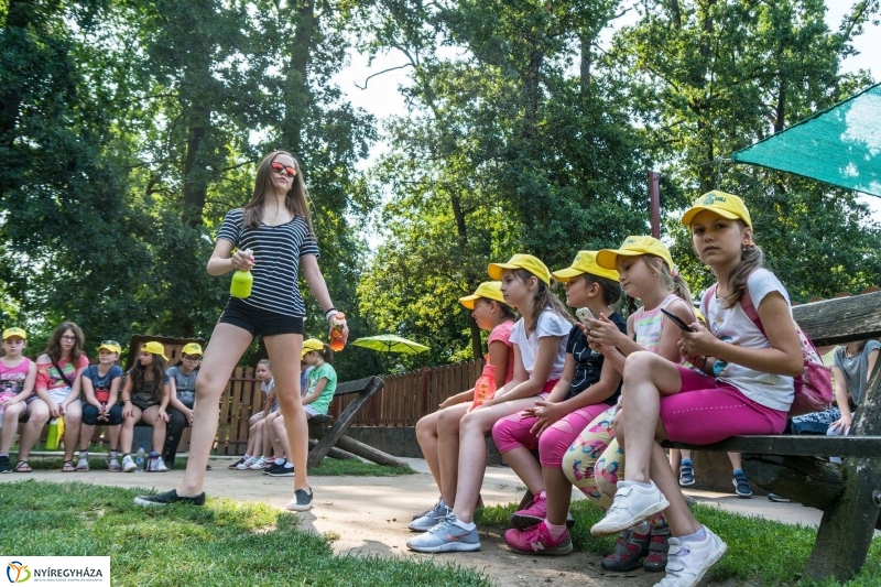 Nem unatkoznak a diákok a Zoo Suliban - fotó Kohut Árpád