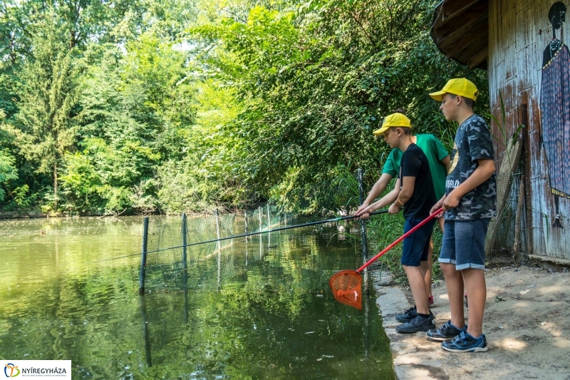 Nem unatkoznak a diákok a Zoo Suliban - fotó Kohut Árpád