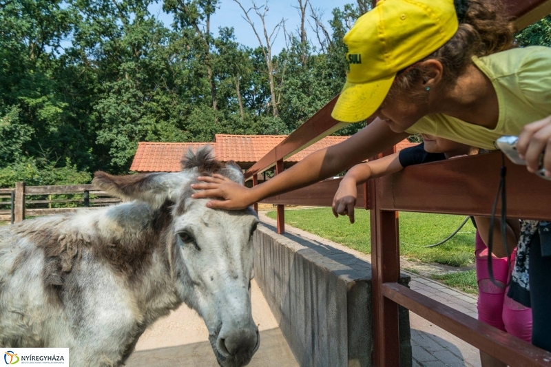 Nem unatkoznak a diákok a Zoo Suliban - fotó Kohut Árpád