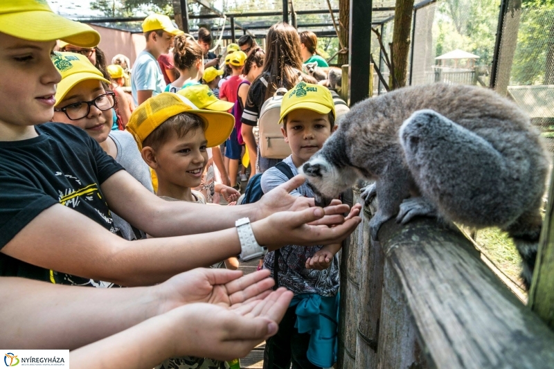 Nem unatkoznak a diákok a Zoo Suliban - fotó Kohut Árpád