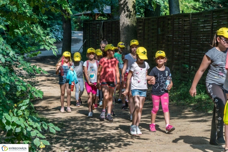 Nem unatkoznak a diákok a Zoo Suliban - fotó Kohut Árpád