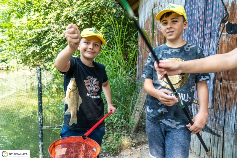 Nem unatkoznak a diákok a Zoo Suliban - fotó Kohut Árpád