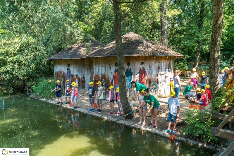 Nem unatkoznak a diákok a Zoo Suliban - fotó Kohut Árpád