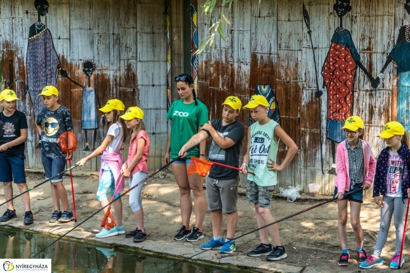 Nem unatkoznak a diákok a Zoo Suliban - fotó Kohut Árpád