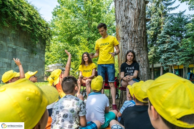 Nem unatkoznak a diákok a Zoo Suliban - fotó Kohut Árpád