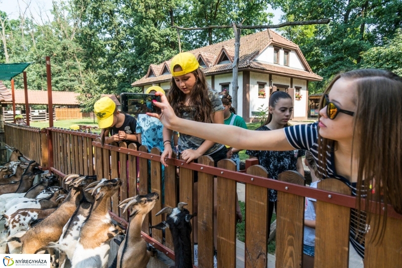 Nem unatkoznak a diákok a Zoo Suliban - fotó Kohut Árpád