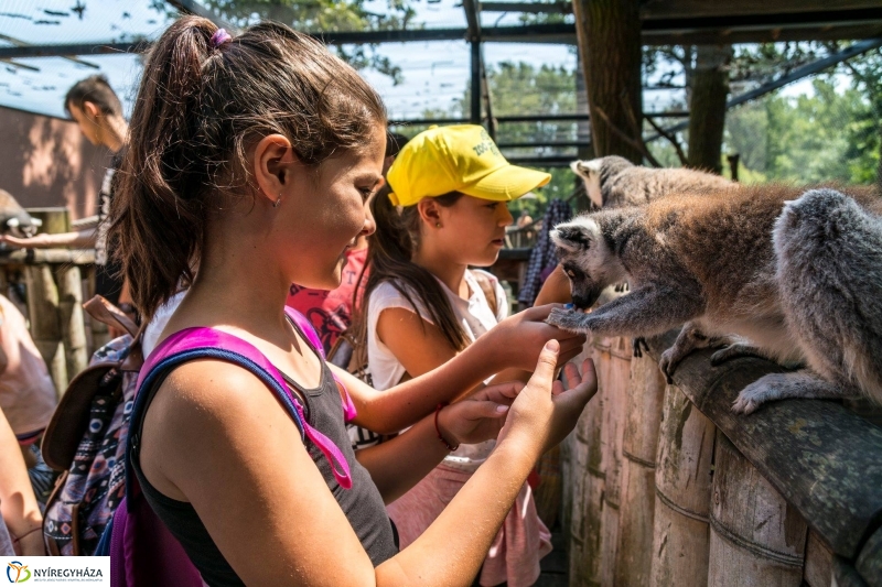Nem unatkoznak a diákok a Zoo Suliban - fotó Kohut Árpád