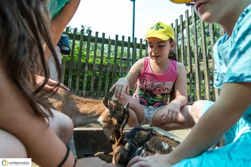 Nem unatkoznak a diákok a Zoo Suliban - fotó Kohut Árpád