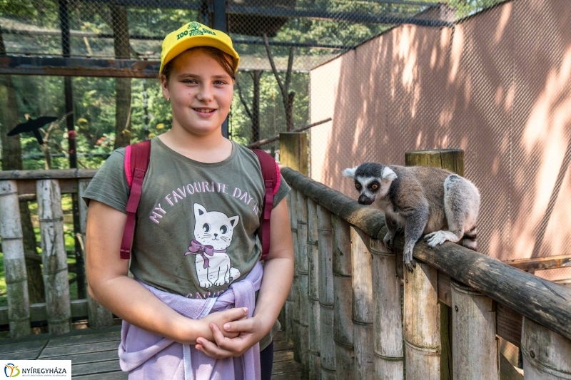 Nem unatkoznak a diákok a Zoo Suliban - fotó Kohut Árpád
