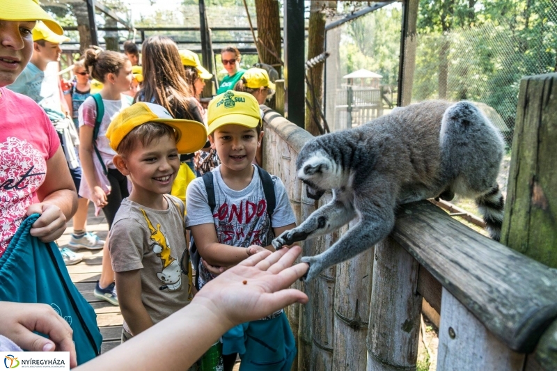 Nem unatkoznak a diákok a Zoo Suliban - fotó Kohut Árpád