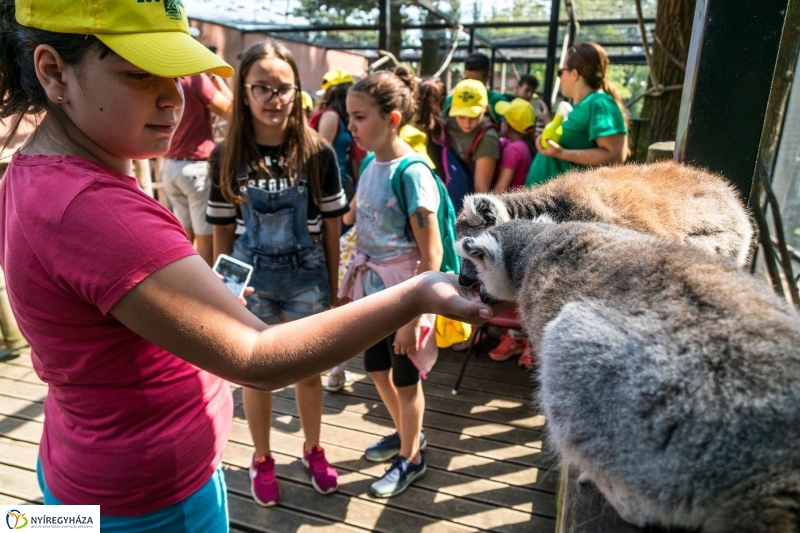 Nem unatkoznak a diákok a Zoo Suliban - fotó Kohut Árpád
