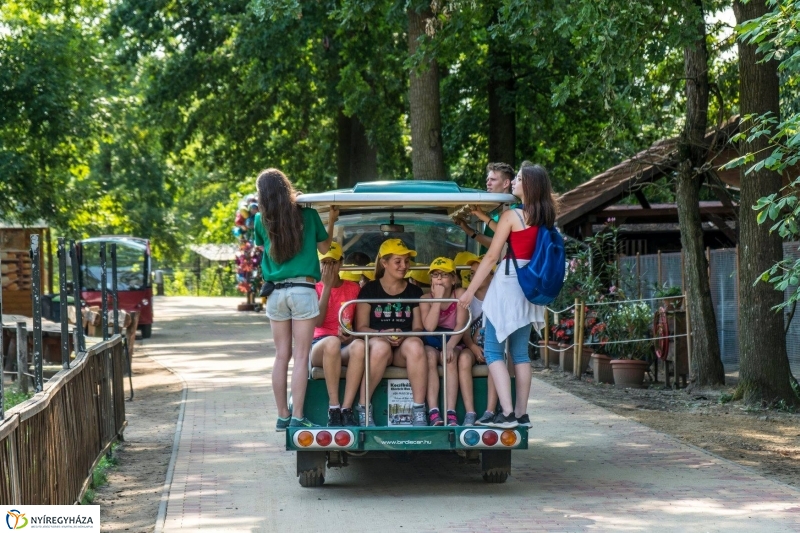Nem unatkoznak a diákok a Zoo Suliban - fotó Kohut Árpád