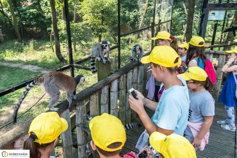 Nem unatkoznak a diákok a Zoo Suliban - fotó Kohut Árpád