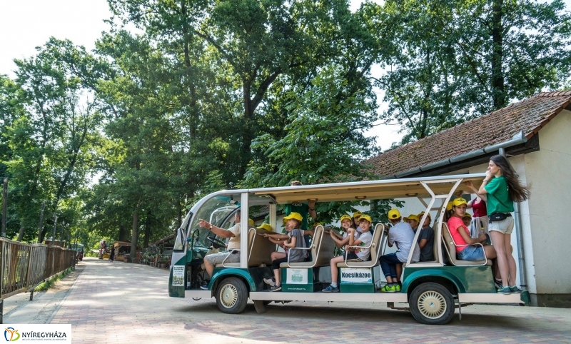 Nem unatkoznak a diákok a Zoo Suliban - fotó Kohut Árpád