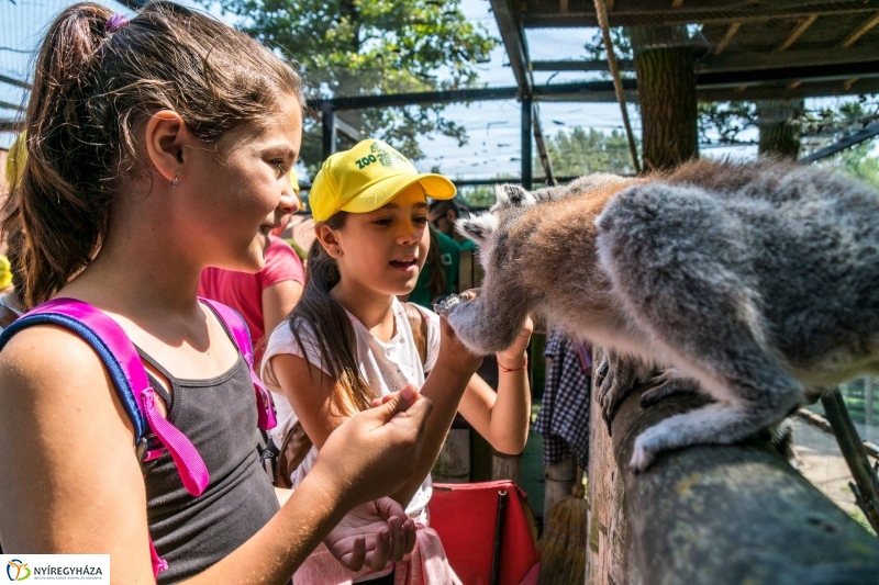 Nem unatkoznak a diákok a Zoo Suliban - fotó Kohut Árpád