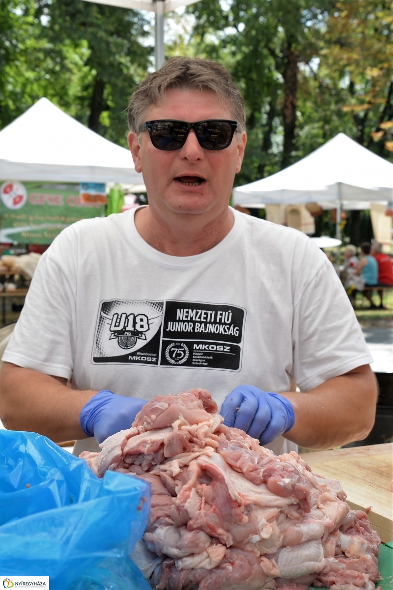 Sárkányhajó Fesztivál 2 - fotó Trifonov Éva