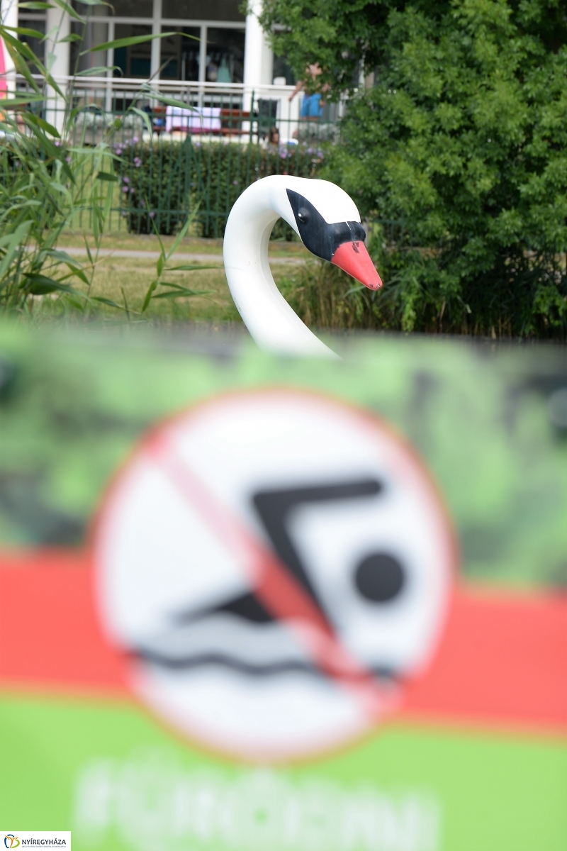 Sárkányhajó Fesztivál 1 - fotó Trifonov Éva