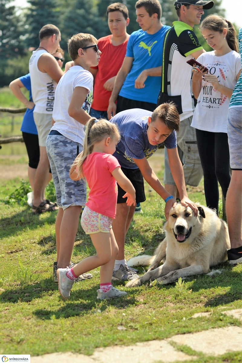 Népi sportágválasztó - fotó Trifonov Éva