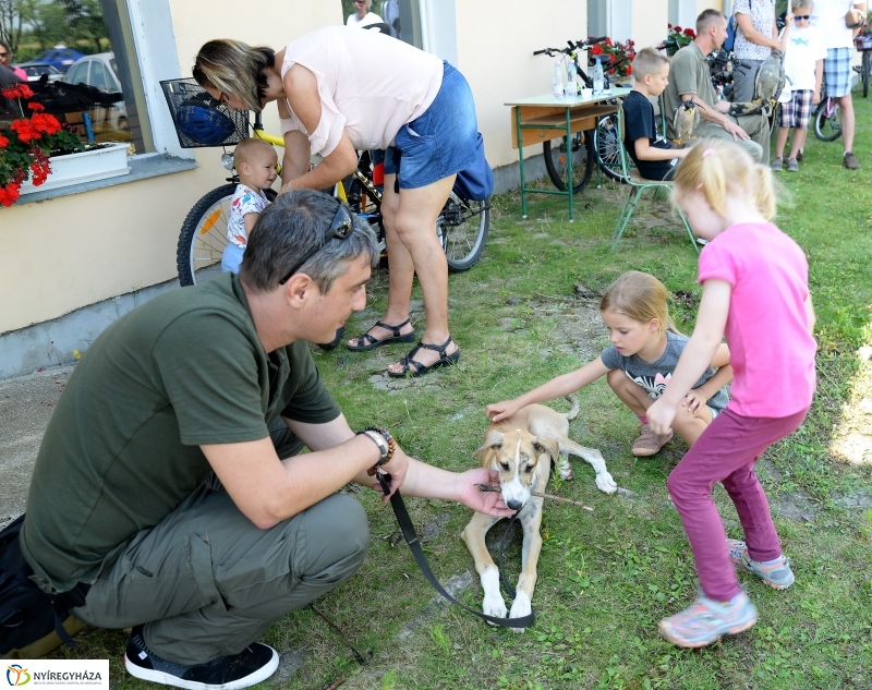 Népi sportágválasztó - fotó Trifonov Éva
