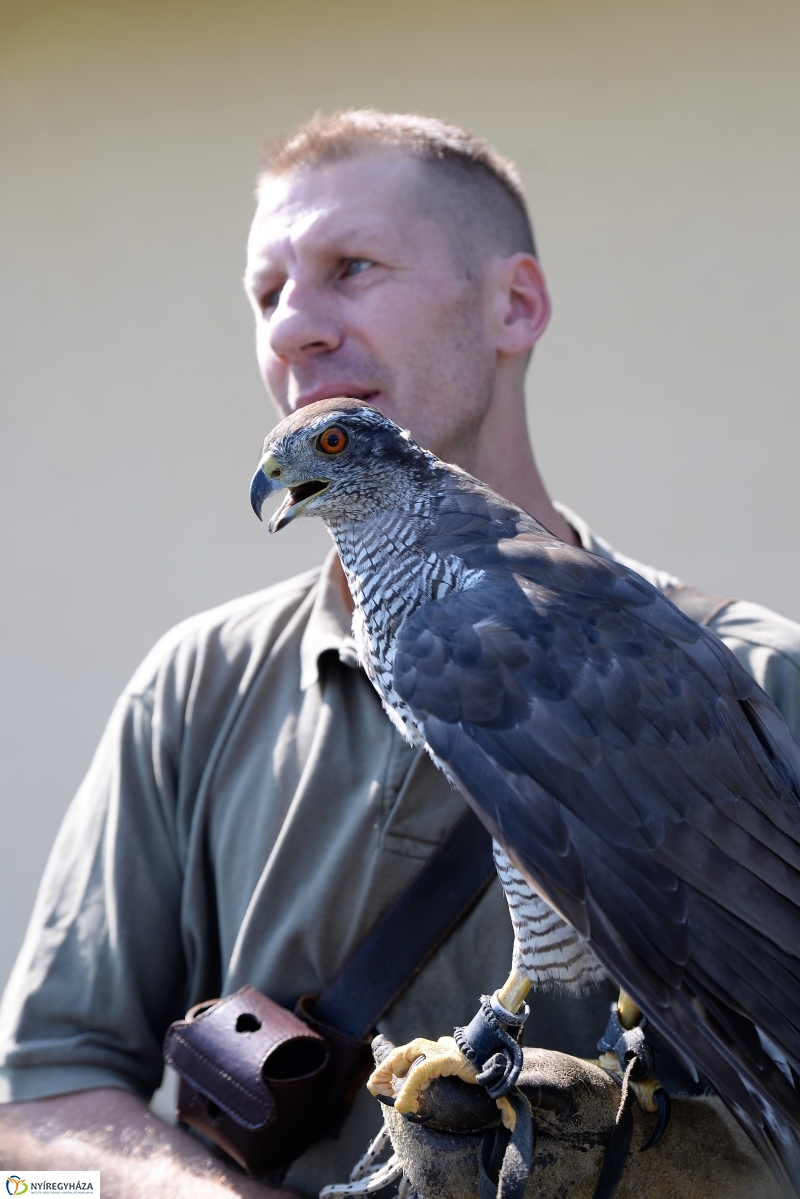 Népi sportágválasztó - fotó Trifonov Éva