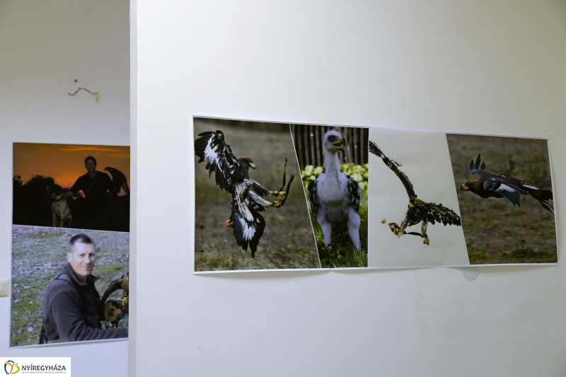 Jó bőr vagy! - programkavalkád a Kállay Gyűjteményben-fotó Trifonov Éva