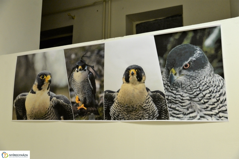 Jó bőr vagy! - programkavalkád a Kállay Gyűjteményben-fotó Trifonov Éva