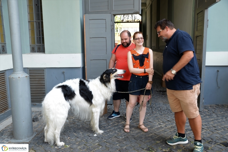 Jó bőr vagy! - programkavalkád a Kállay Gyűjteményben-fotó Trifonov Éva