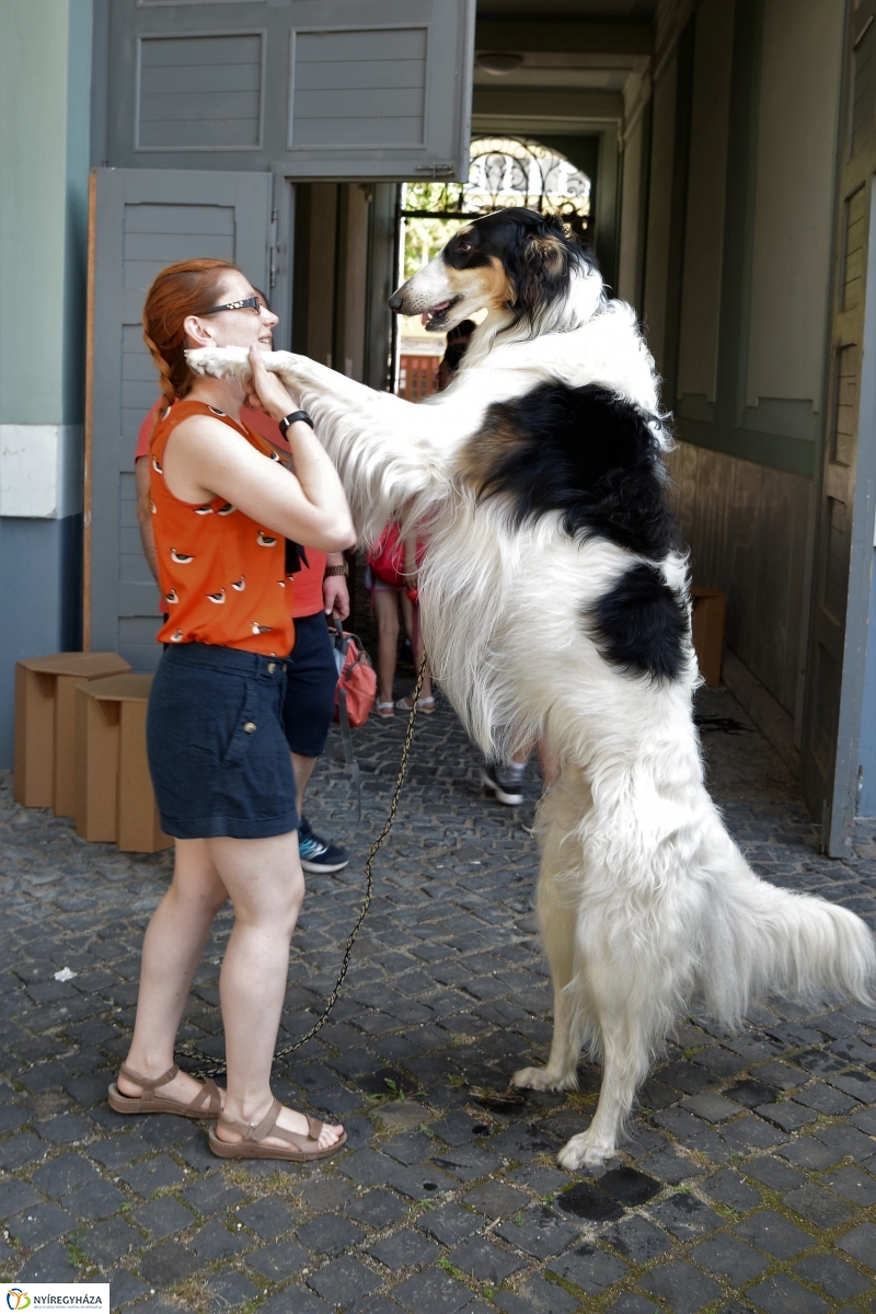 Jó bőr vagy! - programkavalkád a Kállay Gyűjteményben-fotó Trifonov Éva