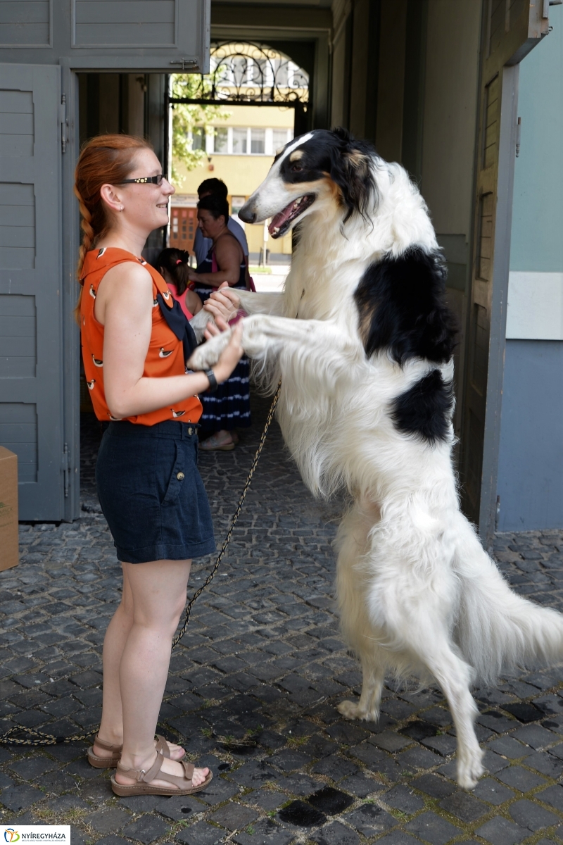 Jó bőr vagy! - programkavalkád a Kállay Gyűjteményben-fotó Trifonov Éva