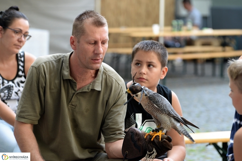 Jó bőr vagy! - programkavalkád a Kállay Gyűjteményben-fotó Trifonov Éva