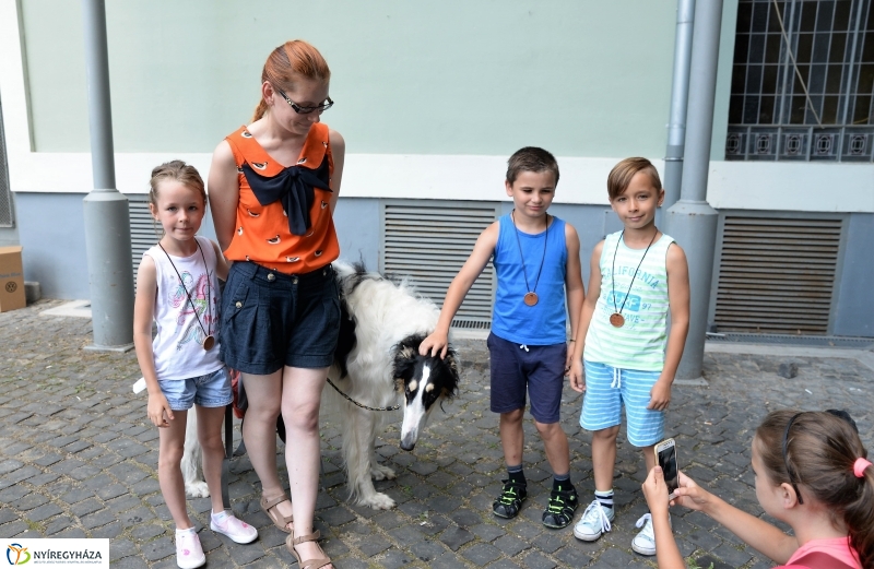 Jó bőr vagy! - programkavalkád a Kállay Gyűjteményben-fotó Trifonov Éva