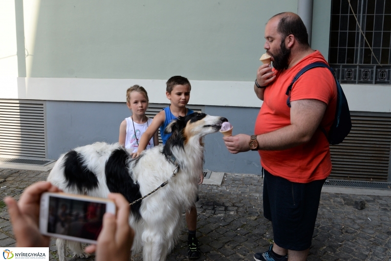 Jó bőr vagy! - programkavalkád a Kállay Gyűjteményben-fotó Trifonov Éva