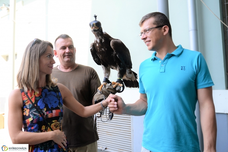 Jó bőr vagy! - programkavalkád a Kállay Gyűjteményben-fotó Trifonov Éva