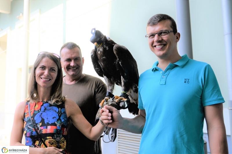 Jó bőr vagy! - programkavalkád a Kállay Gyűjteményben-fotó Trifonov Éva