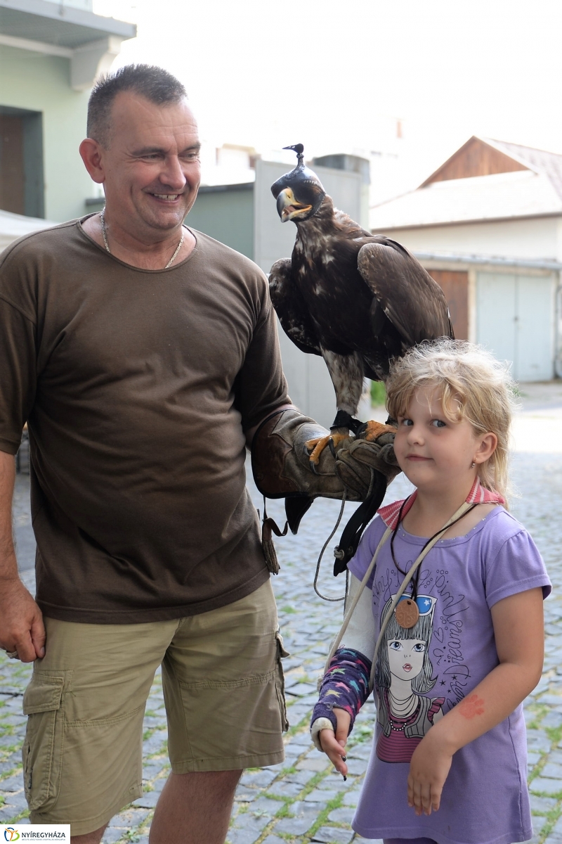 Jó bőr vagy! - programkavalkád a Kállay Gyűjteményben-fotó Trifonov Éva