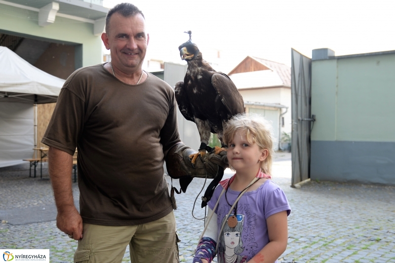 Jó bőr vagy! - programkavalkád a Kállay Gyűjteményben-fotó Trifonov Éva