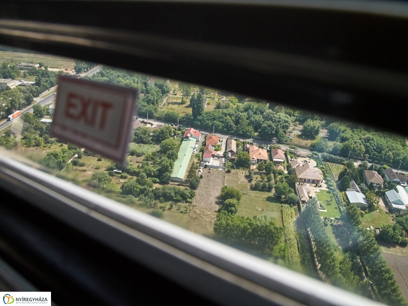 Parlagfű felderítés - fotó Szarka Lajos