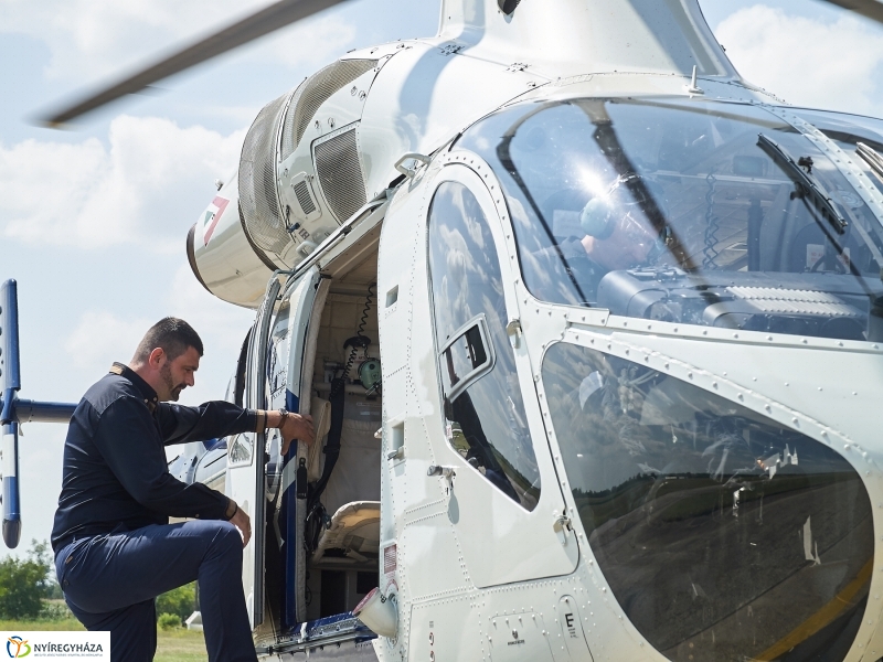 Parlagfű felderítés - fotó Szarka Lajos