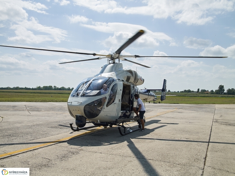 Parlagfű felderítés - fotó Szarka Lajos