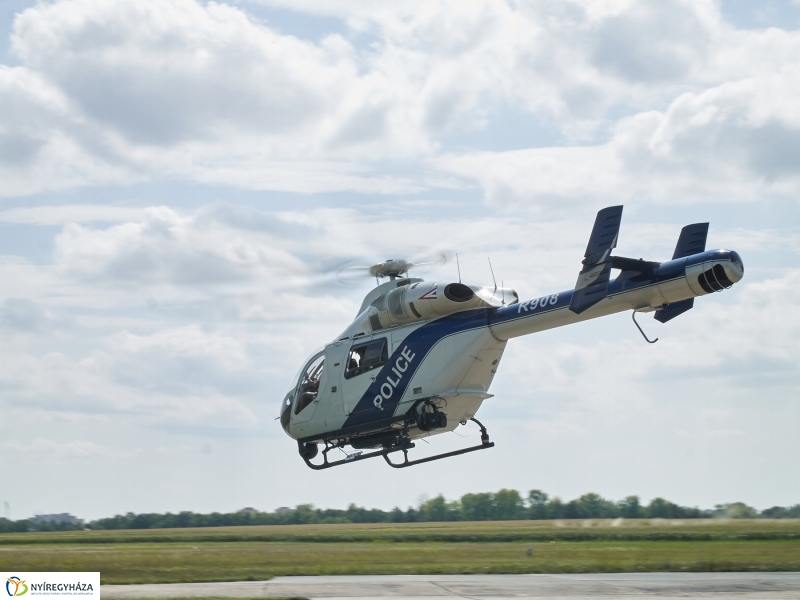 Parlagfű felderítés - fotó Szarka Lajos