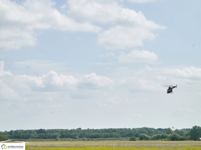 Parlagfű felderítés - fotó Szarka Lajos