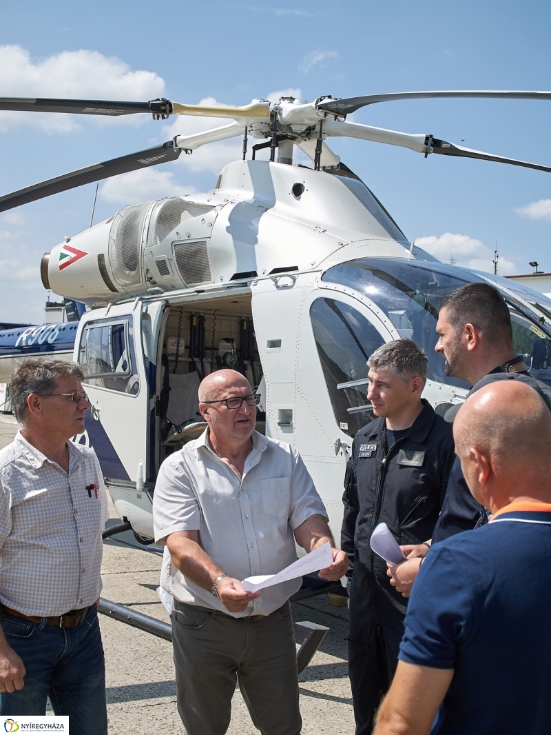 Parlagfű felderítés - fotó Szarka Lajos