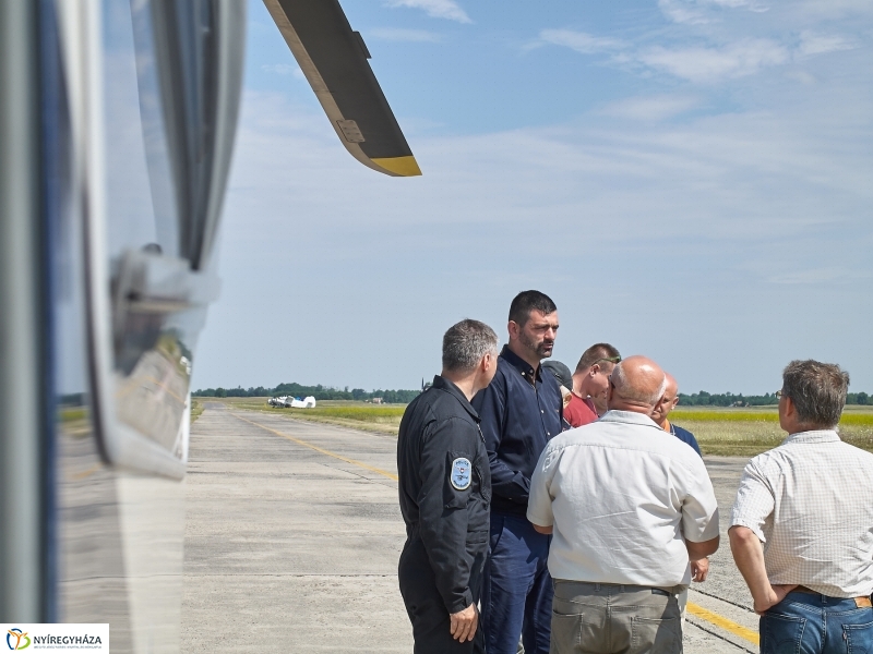 Parlagfű felderítés - fotó Szarka Lajos