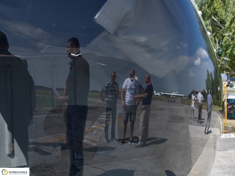 Parlagfű felderítés - fotó Szarka Lajos