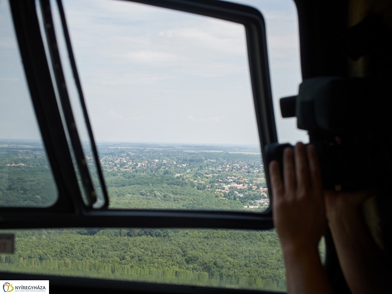 Parlagfű felderítés - fotó Szarka Lajos