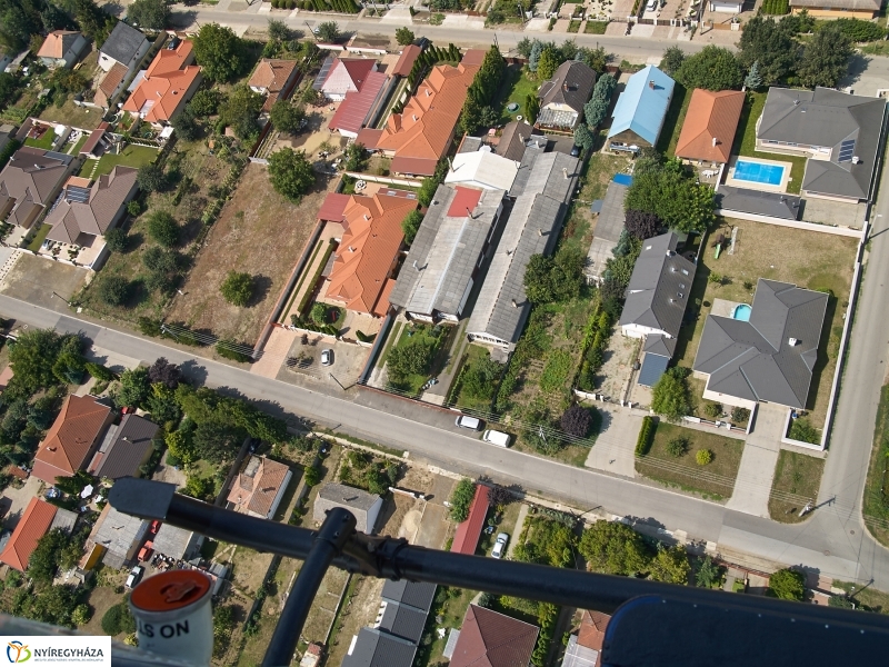 Parlagfű felderítés - fotó Szarka Lajos